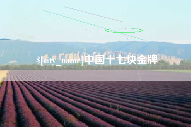 太康中国十七块金牌