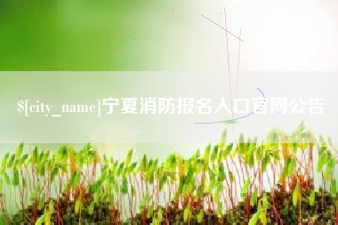 太康宁夏消防报名入口官网公告