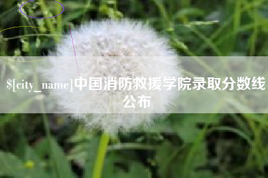 太康中国消防救援学院录取分数线公布