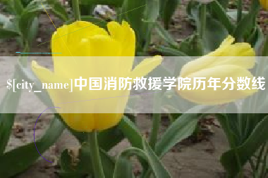 太康中国消防救援学院历年分数线