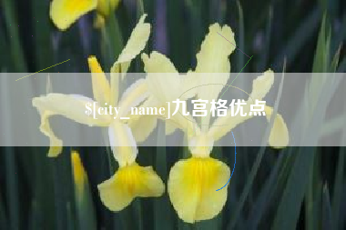 太康九宫格优点