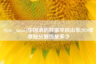 太康中国消防救援学院山东2020年录取分数线是多少