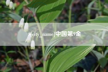 太康中国第9金