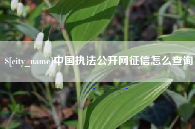 太康中国执法公开网征信怎么查询