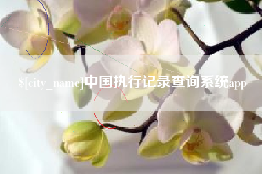 太康中国执行记录查询系统app