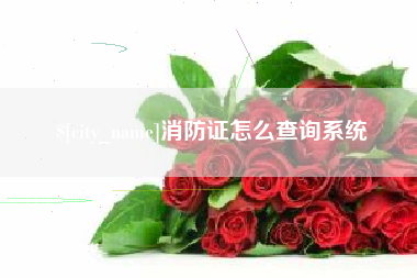 太康消防证怎么查询系统