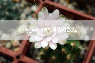 太康2021消防分数线