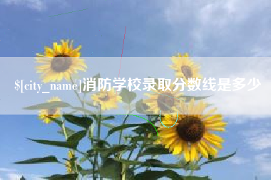 太康消防学校录取分数线是多少