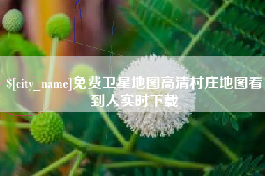太康免费卫星地图高清村庄地图看到人实时下载