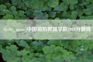 太康中国消防救援学院2018分数线