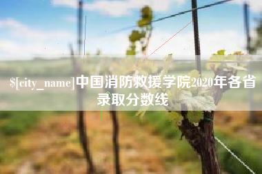 太康中国消防救援学院2020年各省录取分数线
