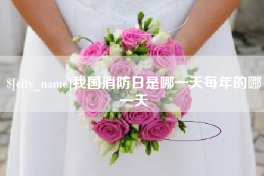 太康我国消防日是哪一天每年的哪一天