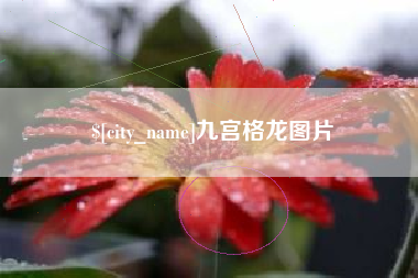 太康九宫格龙图片