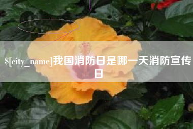 太康我国消防日是哪一天消防宣传日