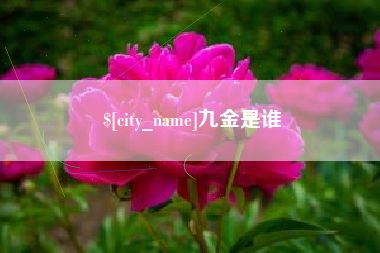 太康九金是谁