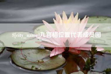 太康九宫格位置代表成员图