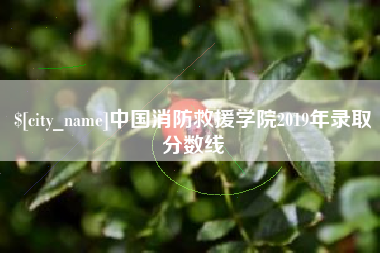 太康中国消防救援学院2019年录取分数线
