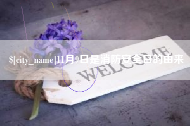 太康11月9日是消防安全日的由来