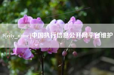太康中国执行信息公开网平台维护