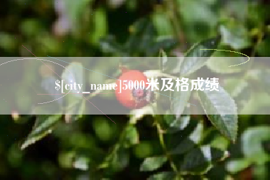 太康5000米及格成绩