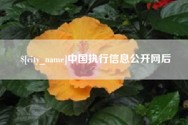 太康中国执行信息公开网后