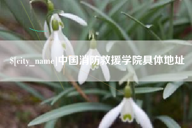 太康中国消防救援学院具体地址