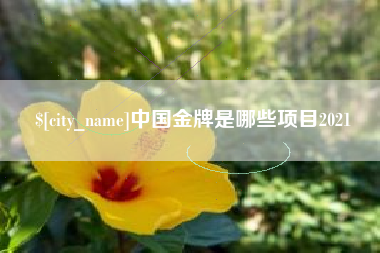 太康中国金牌是哪些项目2021