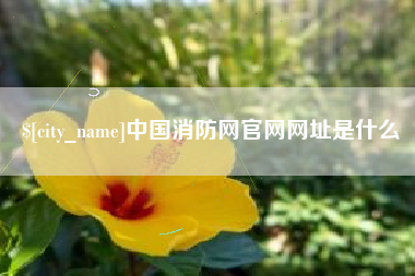 太康中国消防网官网网址是什么