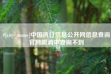 太康中国执行信息公开网信息查询官网限消中查询不到