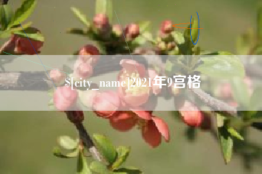 太康2021年9宫格