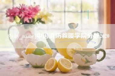 太康中国消防救援学院分数2020