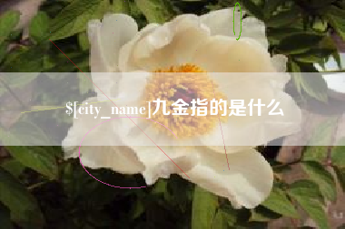 太康九金指的是什么