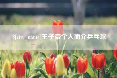 太康王子豪个人简介乒乓球