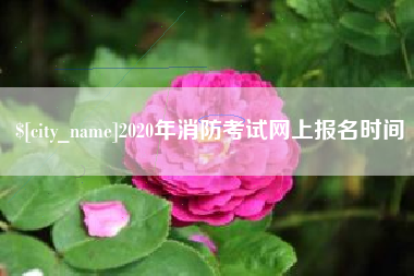 太康2020年消防考试网上报名时间
