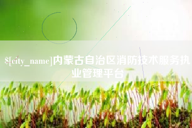 太康内蒙古自治区消防技术服务执业管理平台