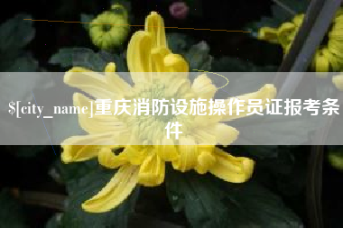 太康重庆消防设施操作员证报考条件