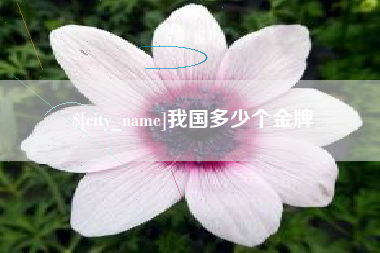太康我国多少个金牌