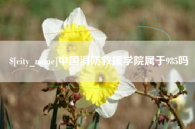 太康中国消防救援学院属于985吗