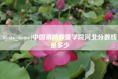 太康中国消防救援学院河北分数线是多少