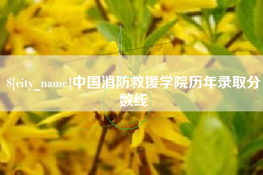 太康中国消防救援学院历年录取分数线