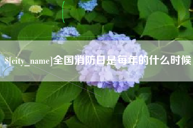 太康全国消防日是每年的什么时候