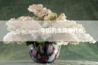 太康中国的金牌有几名