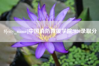 太康中国消防救援学院2020录取分