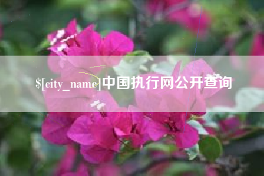 太康中国执行网公开查询