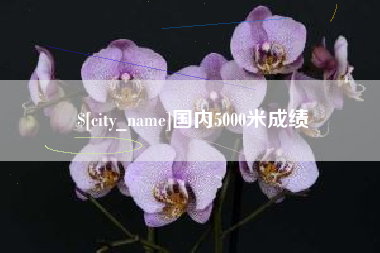 太康国内5000米成绩