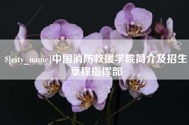 太康中国消防救援学院简介及招生章程指挥部