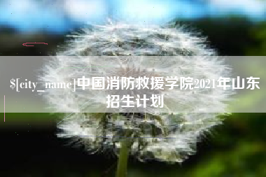 太康中国消防救援学院2021年山东招生计划