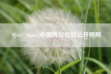 太康中国执行信息公开网网