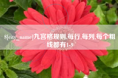 太康九宫格规则,每行,每列,每个粗线都有1-9