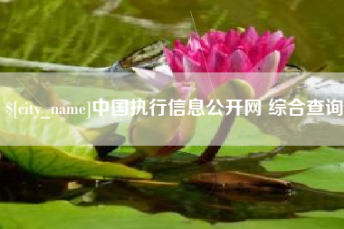 太康中国执行信息公开网 综合查询